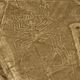 Intricate designs that could be tied to the ancient Inca practice of Gimkanna — the origin of a word still in use today.